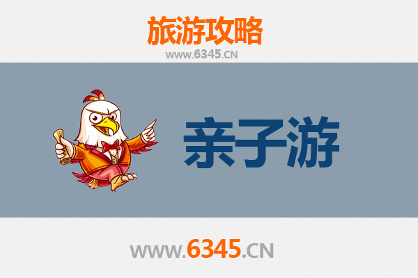 天水张家川亲子游攻略：草原风情与历史文化的完美融合